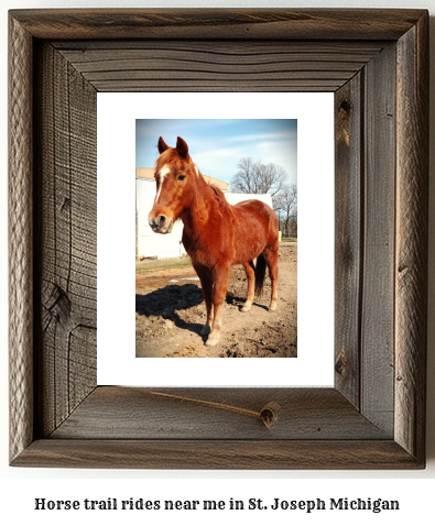 horse trail rides near me in St. Joseph, Michigan